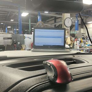 Mouse Inside Car