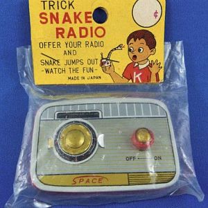 Snake radio