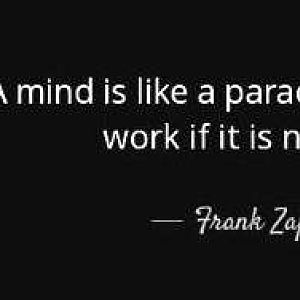 Zappa Open Mind
