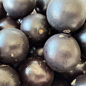 Jabuticaba