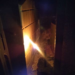 Fat lighter