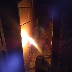 Lighter wood