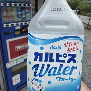 IMG_0538