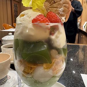 IMG_0558