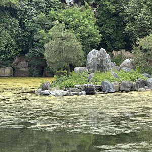 IMG_0670
