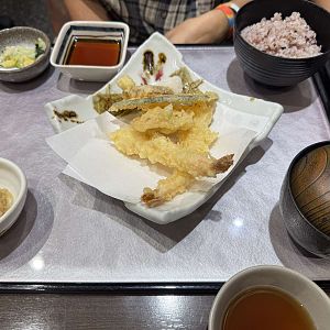IMG_0708