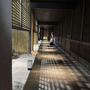 IMG_0973