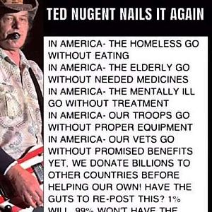 Ted Nugent Nails It