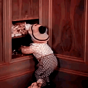 Politicians and tax dollars