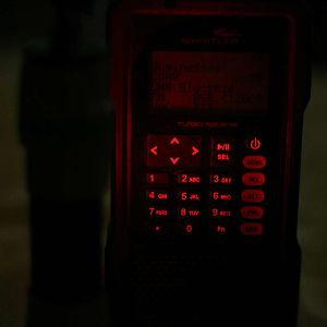 IMG_6656