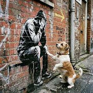 Pup