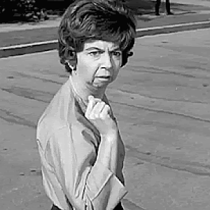Mrs Kravitz