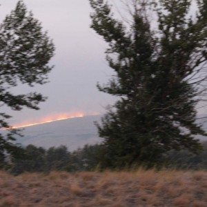 2012 Fire 53