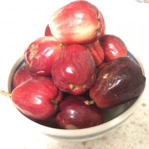Bowl of mountain apples