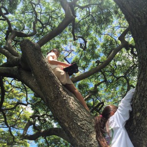 Monkeys ❤️ climbing trees