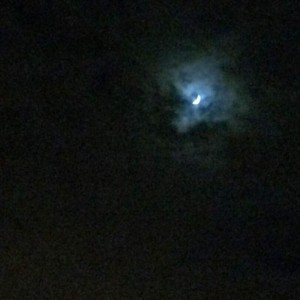 Last night's shy moon