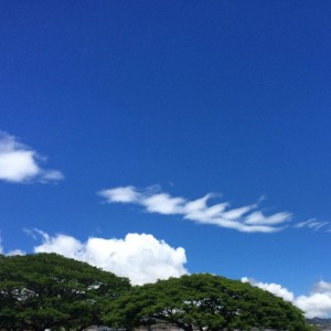 Cool clouds over tai chi tree