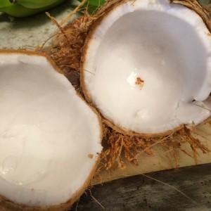 Coconut, banana & bolo