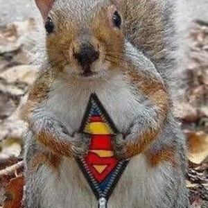 Superman+squirrel+2