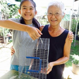 Monkey's cage with Gramma