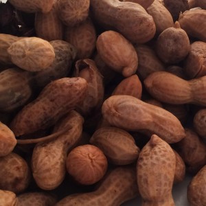 Boiled peanuts from neighbor