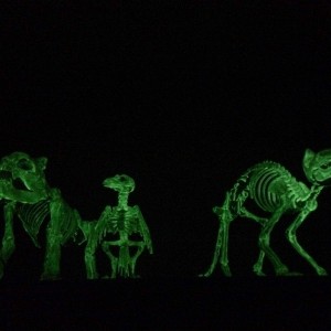 Glowing skeleton critters