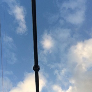 Sky above my hammock