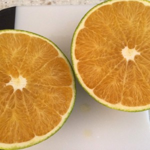 Hawaiian orange