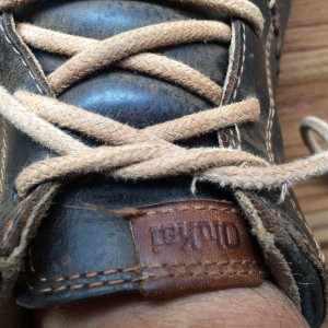 Regular shoelace knot