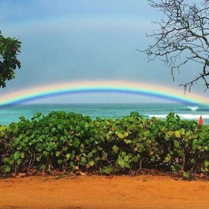 Turtle Bay rainbow