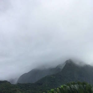 Koolau mountain range from Maunawili