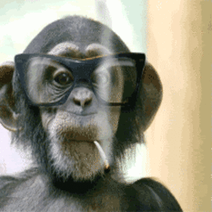 Tumblr_static_moving-picture-chimp-with-glasses-smoking-animated-gif