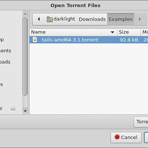 OpenTorrent_qBittorrent