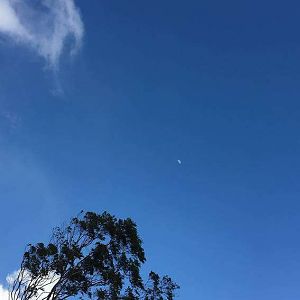 85FF5677-0F67-4896-BECC-663657BADA70