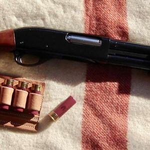 1981 WingMaster with a 18 inch barrel , Improved Cylinder choke and walnut stocks...