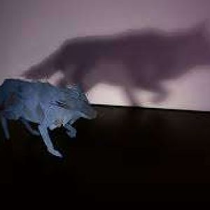 Wolf Shadow 2