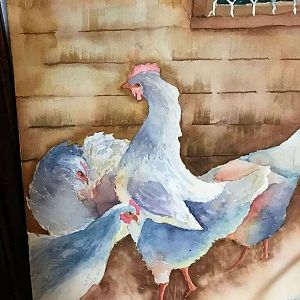 Watercolor_chickens