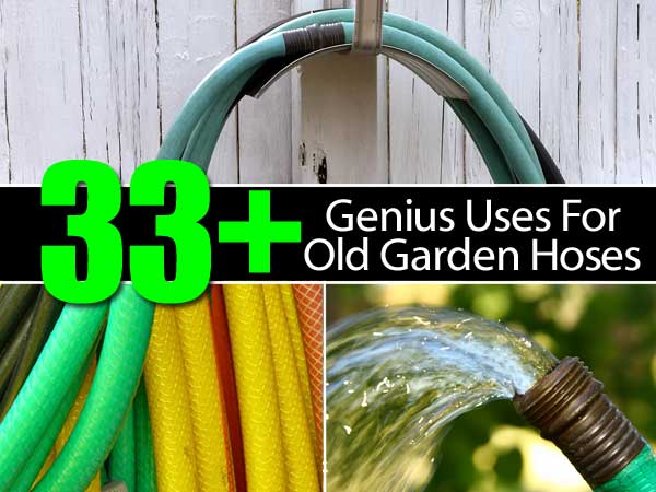 All the Ways to Repurpose an Old Garden Hose (Instead of Throwing It Away)