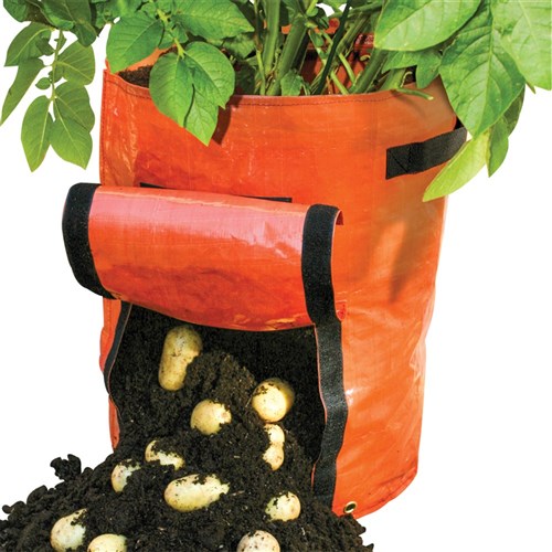 Grow Bags, Planters & Pottery > Bosmere Potato Grow Bag - The